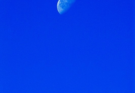 moon over newport beach