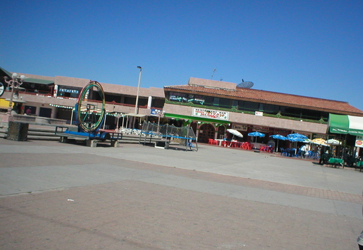 P1010008.jpg