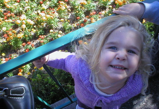 P1010028.jpg