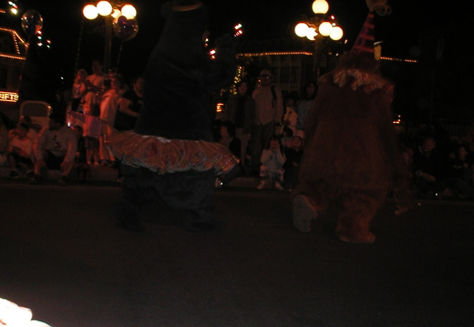 P1010048.jpg