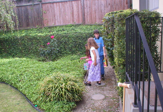 egg hunt