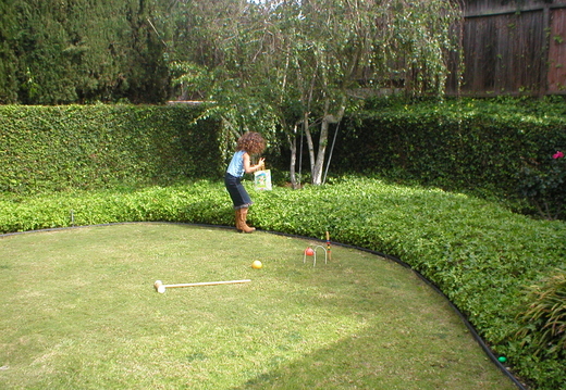 egg hunt