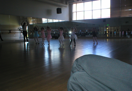 P1010029.jpg