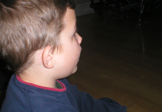 P1010033.jpg