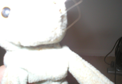 P1010062.jpg