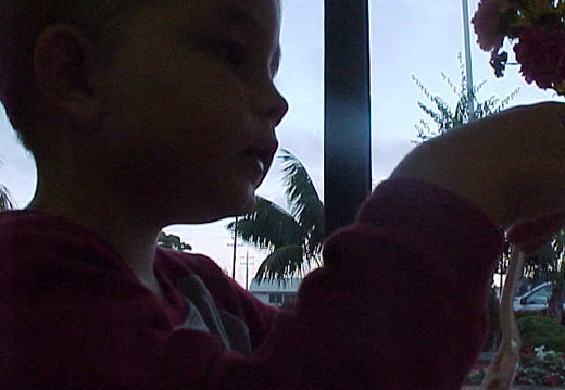 16_G_001.jpg