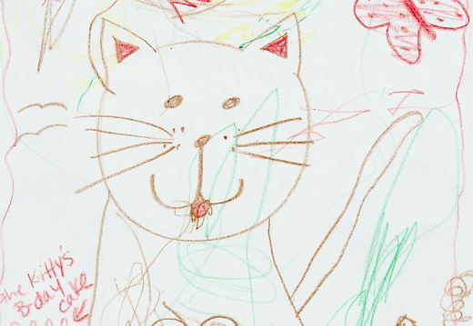 kitty cat