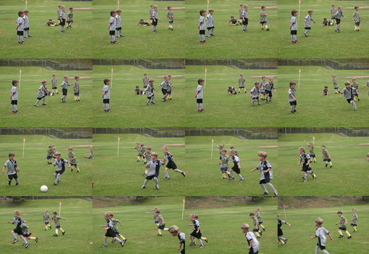 DSCN2198.jpg
