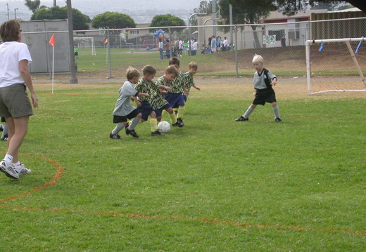 DSCN2206.jpg