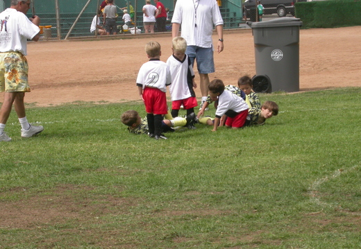 DSCN1229.jpg