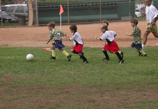 DSCN1232.jpg