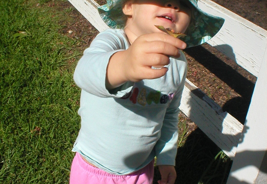 P1010003.jpg