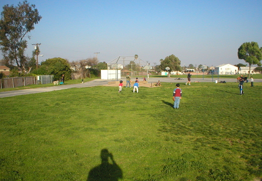 P1010011.jpg