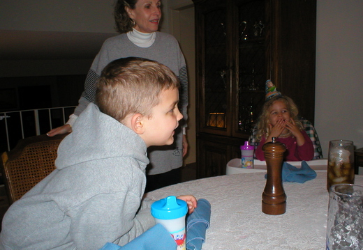 P1010007.jpg