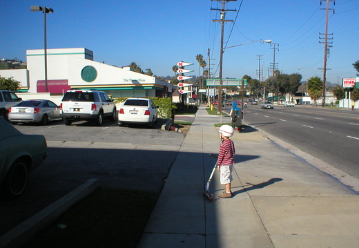P1010005.jpg
