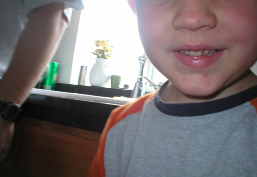 P1010060.jpg
