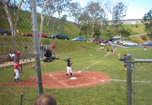 P1010009.jpg