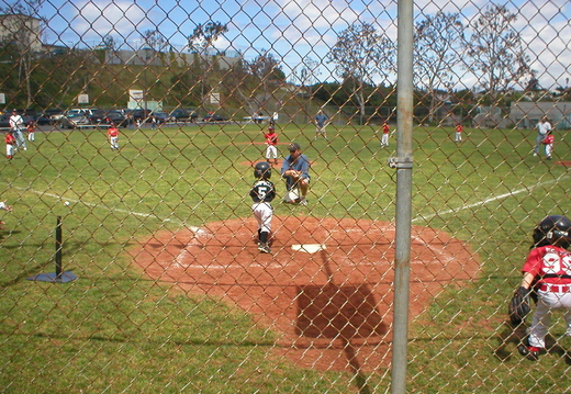P1010019.jpg