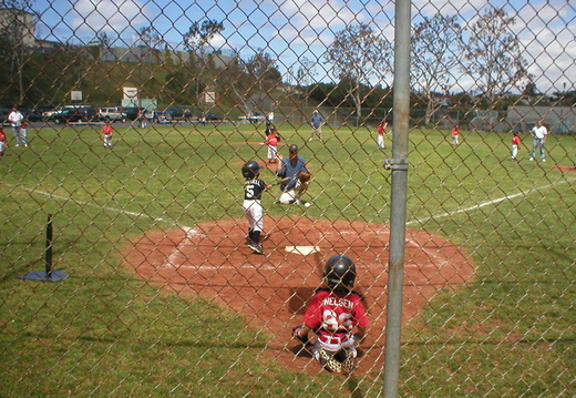 P1010020.jpg