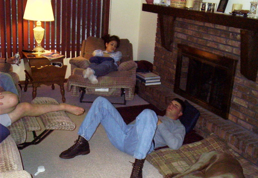 family in illinois
