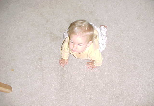 abigail
