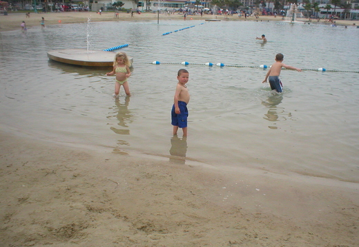 P1010045.jpg