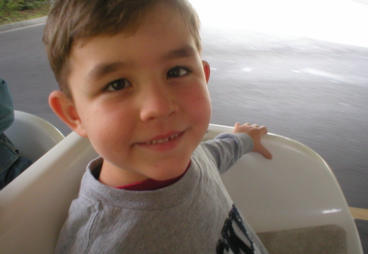 P1010023.jpg