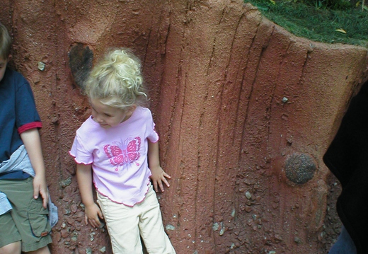 P1010032.jpg