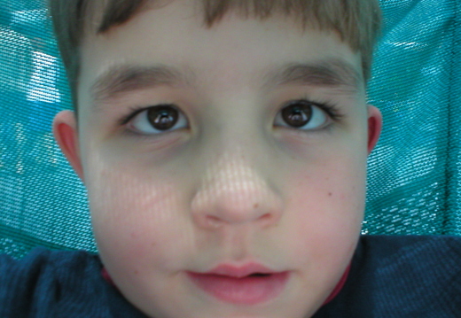 P1010042.jpg