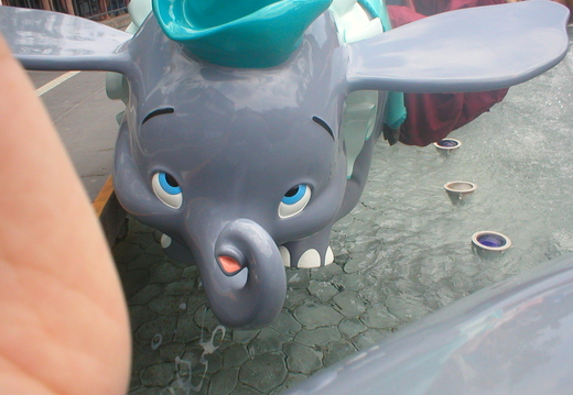 P1010053.jpg