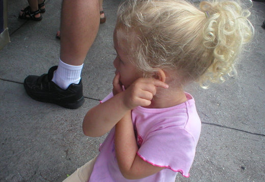 P1010061.jpg