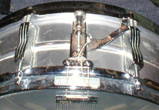 ludwigsnare