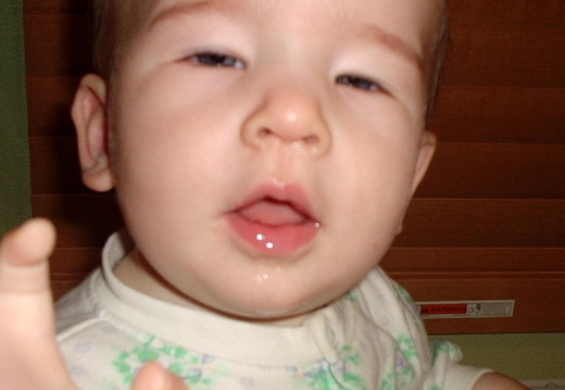 2005.02.27.08