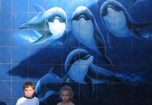 wyland museum