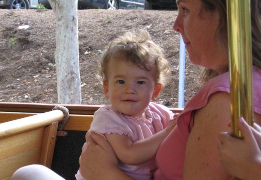 on the trolly