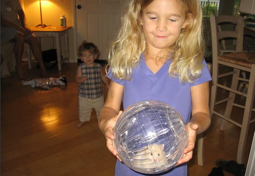 2005.09.13 "hamsty" joins the family