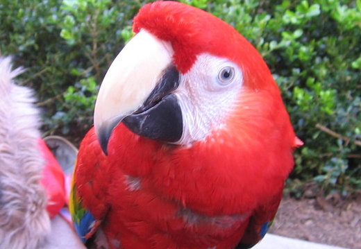 2006.02.03-15