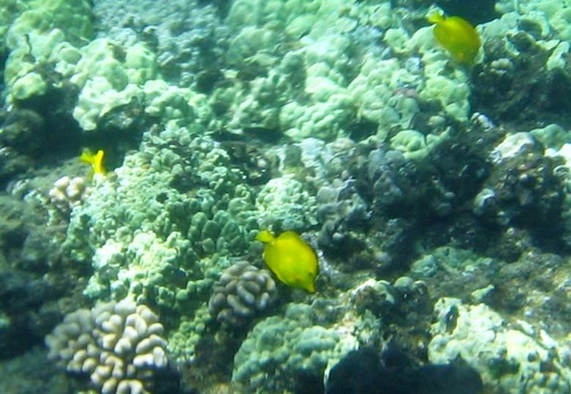 2006.08.16-hawaii-07