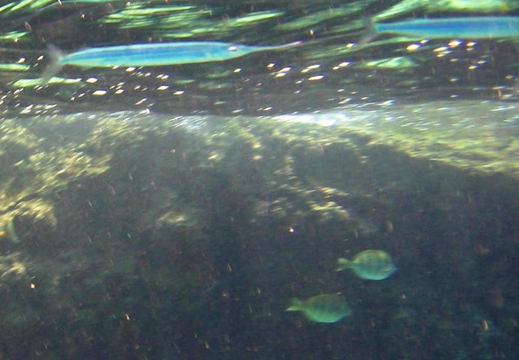 2006.08.16-hawaii-14