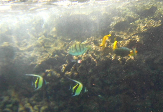 2006.08.16-hawaii-15