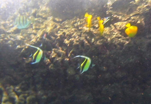 2006.08.16-hawaii-17