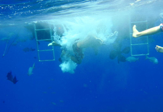 2006.08.16-hawaii-20