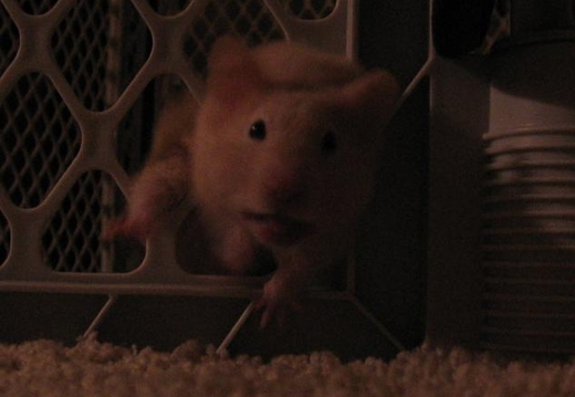 2007.02.20-02-flo-stuck