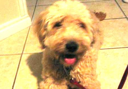 2007.06.19 - charlie
