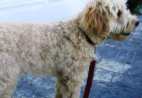 2007.06.19 - charlie