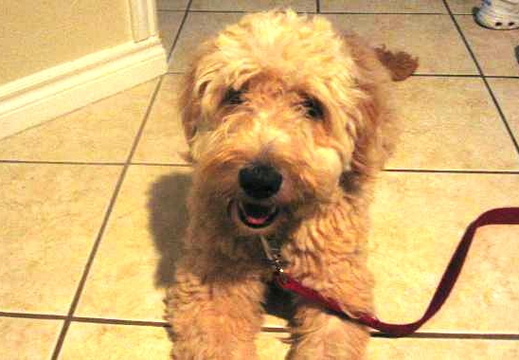 2007.06.19 - charlie