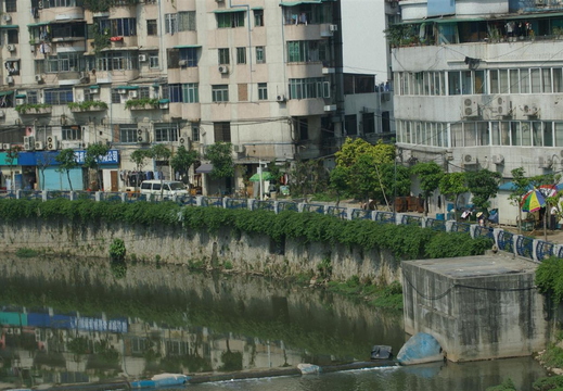 IMGP2140.JPG