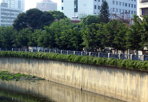 IMGP2170.JPG