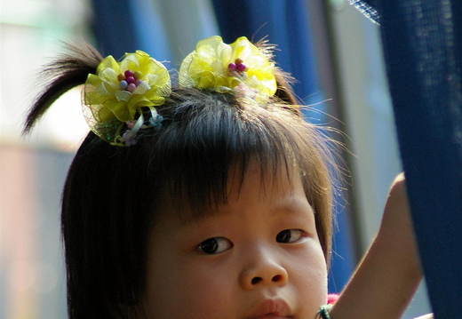 IMGP2176.JPG