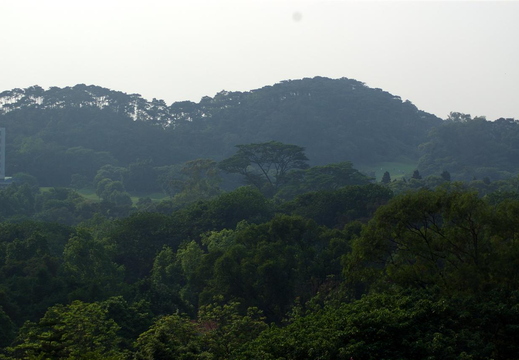 IMGP2192.JPG